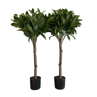 Final Clearance – Striking Faux Bay Leaf Trees - Set of 2