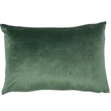 Milano luxe eucalyptus 30 x 45 cushion nationwide delivery www.lilybloom.ie