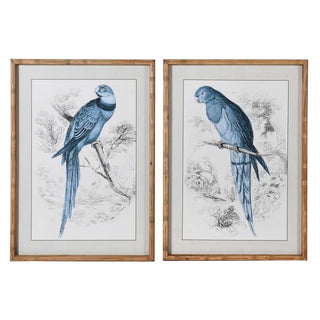 Parrot Pictures set in Bamboo Frame (Set of 2)